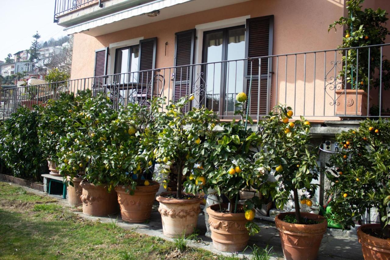 Panoramic Orselina Apartamento Exterior foto